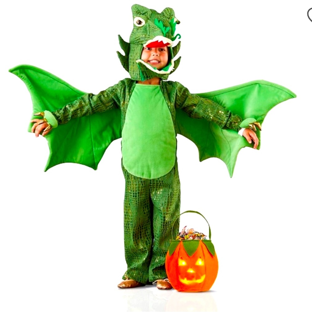 Pottery Barn Kids Dragon Costume